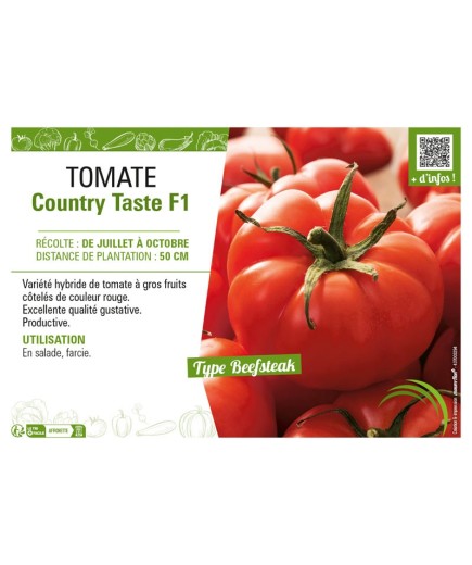 TOMATE COUNTRY TASTE F1