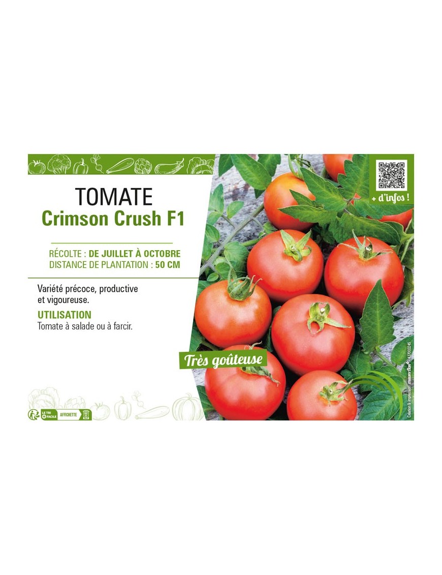TOMATE CRIMSON CRUSH F1