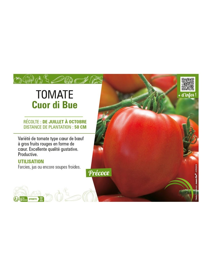 TOMATE CUOR DI BUE