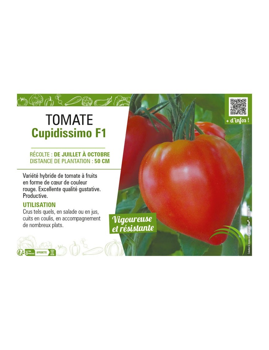 TOMATE CUPIDISSIMO F1