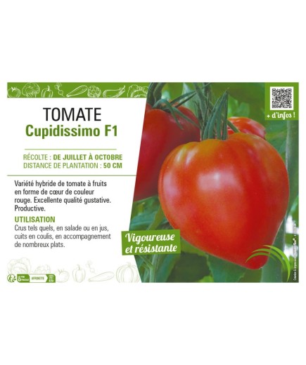 TOMATE CUPIDISSIMO F1