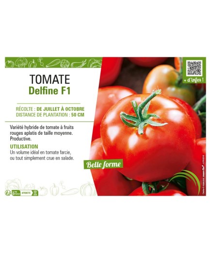 TOMATE DELFINE F1