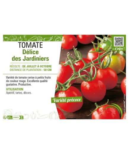 TOMATE DÉLICES DES JARDINIERS