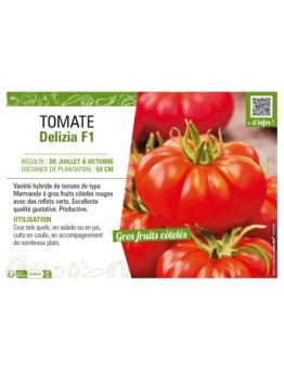 TOMATE DELIZIA F1