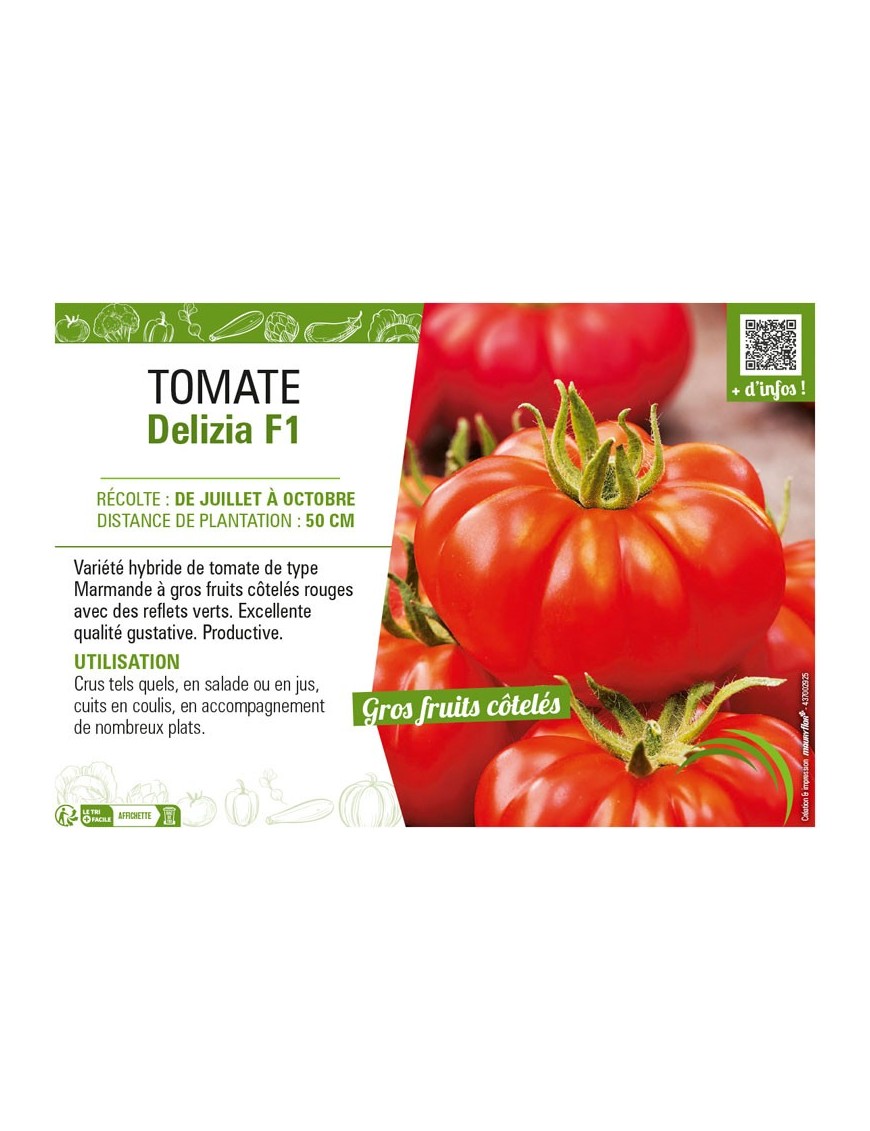 TOMATE DELIZIA F1