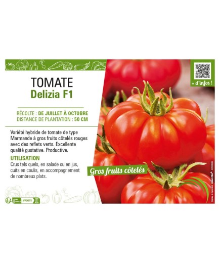 TOMATE DELIZIA F1