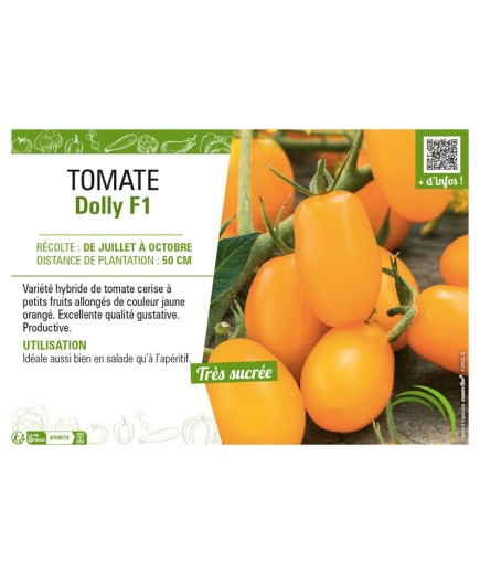 TOMATE DOLLY F1