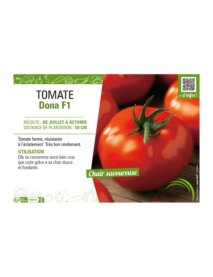 TOMATE DONA F1