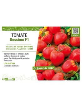 TOMATE DOSSIMO F1