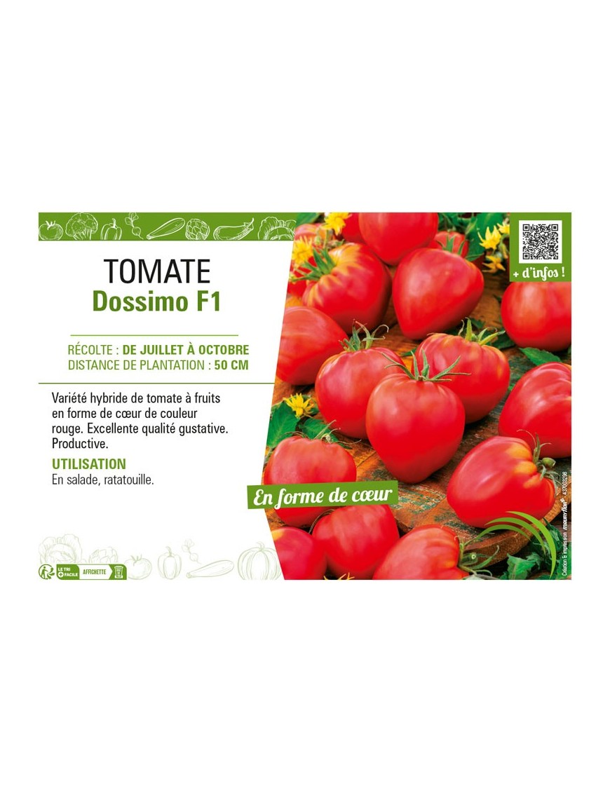 TOMATE DOSSIMO F1
