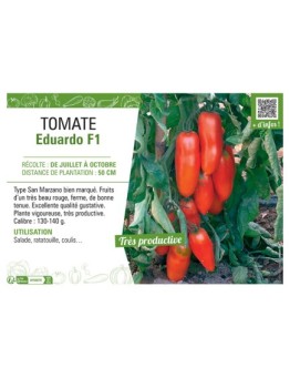 TOMATE EDUARDO F1