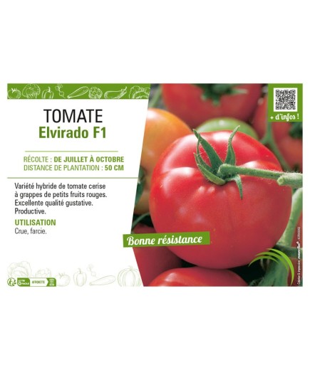 TOMATE ELVIRADO F1