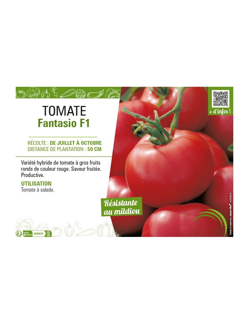 TOMATE FANTASIO F1