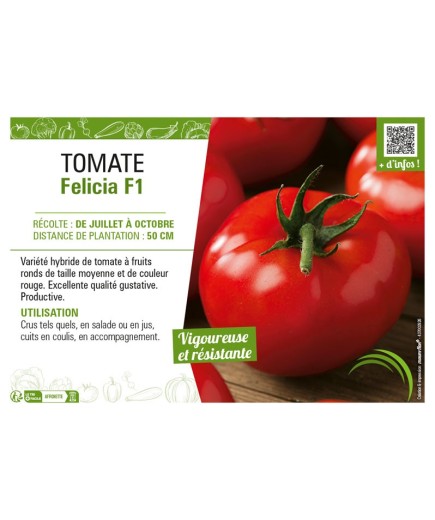 TOMATE FELICIA F1