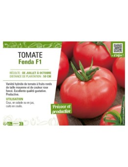 TOMATE FENDA F1