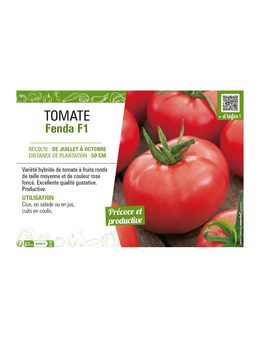 TOMATE FENDA F1