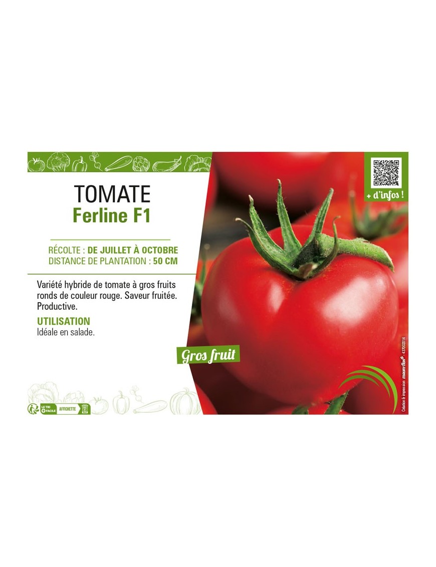 TOMATE FERLINE F1