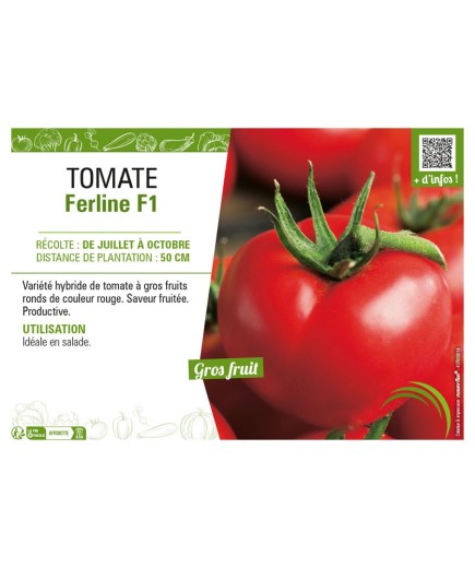 TOMATE FERLINE F1