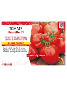 TOMATE FLEURETTE F1 Plant greffé