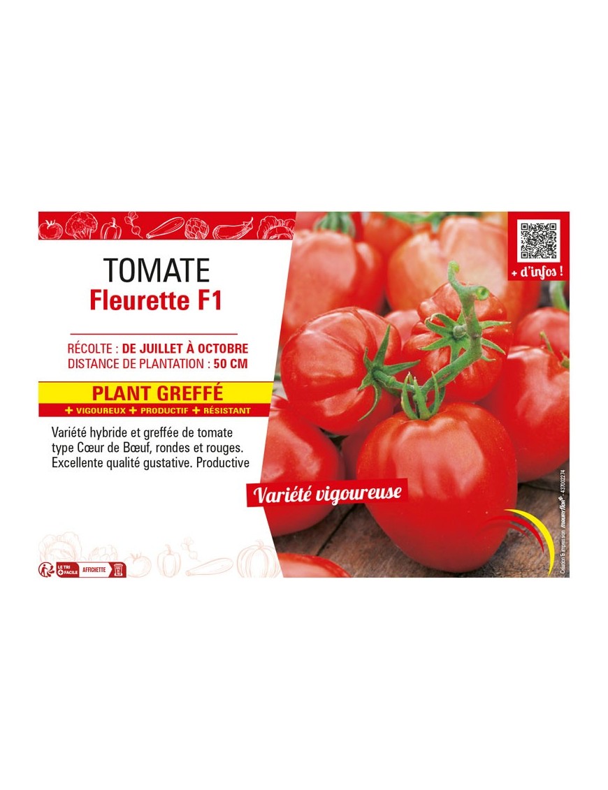 TOMATE FLEURETTE F1 Plant greffé