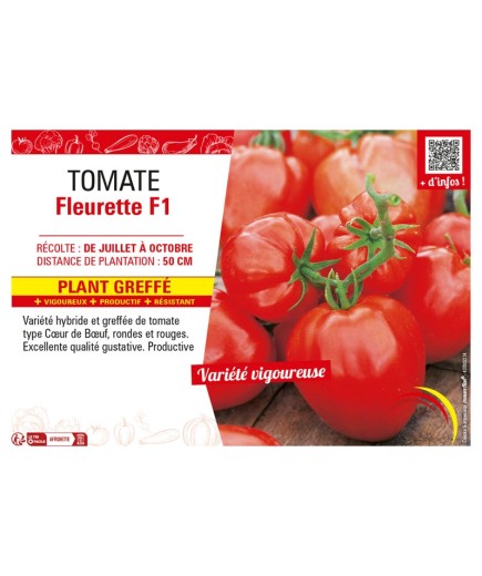 TOMATE FLEURETTE F1 Plant greffé