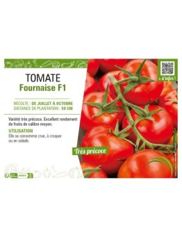 TOMATE FOURNAISE F1