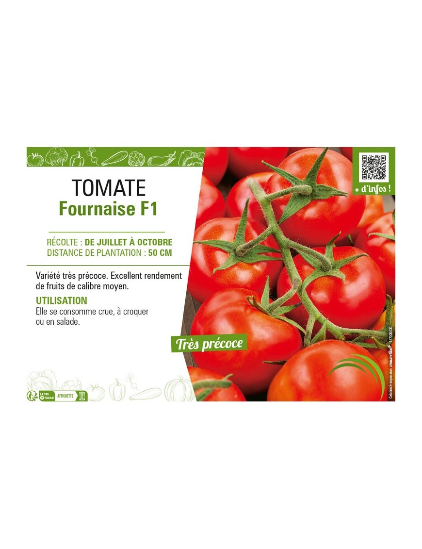 TOMATE FOURNAISE F1