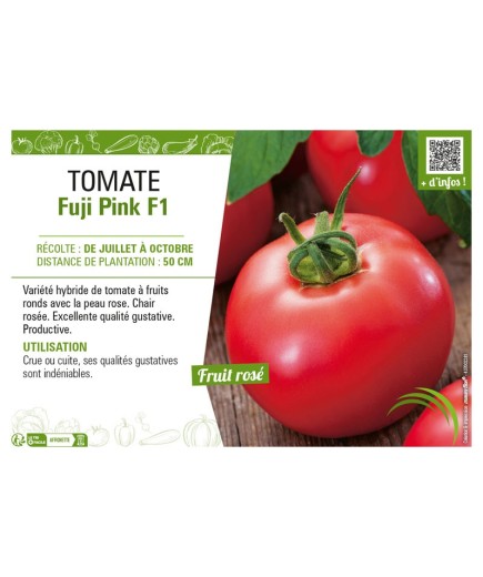 TOMATE FUJI PINK F1