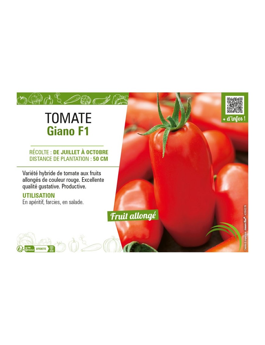 TOMATE GIANO F1