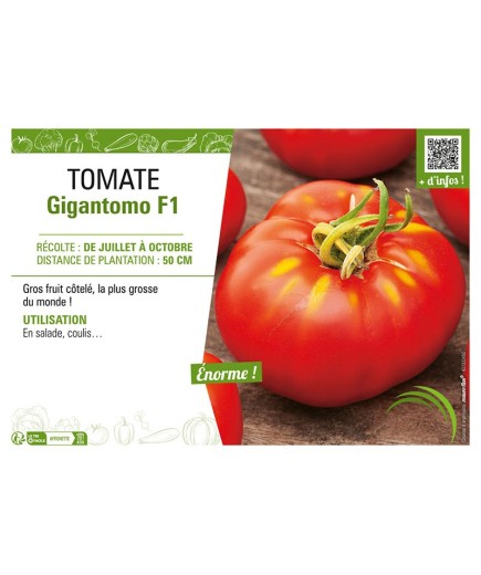 TOMATE GIGANTOMO F1