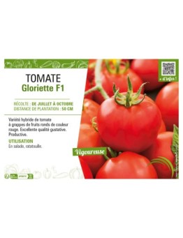TOMATE GLORIETTE F1