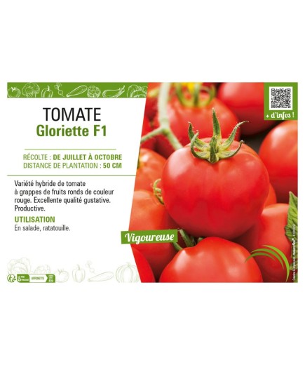 TOMATE GLORIETTE F1