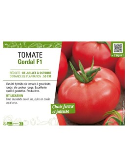 TOMATE GORDAL F1