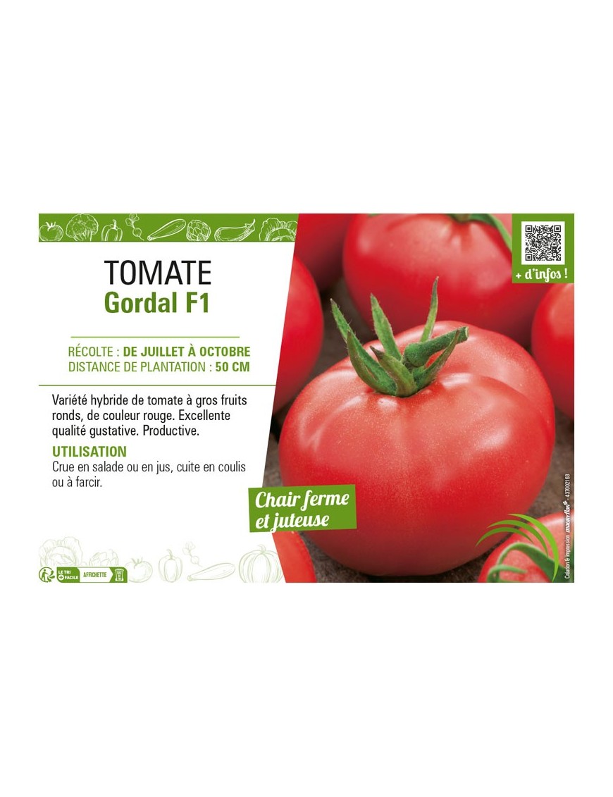 TOMATE GORDAL F1