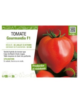 TOMATE GOURMANDIA F1