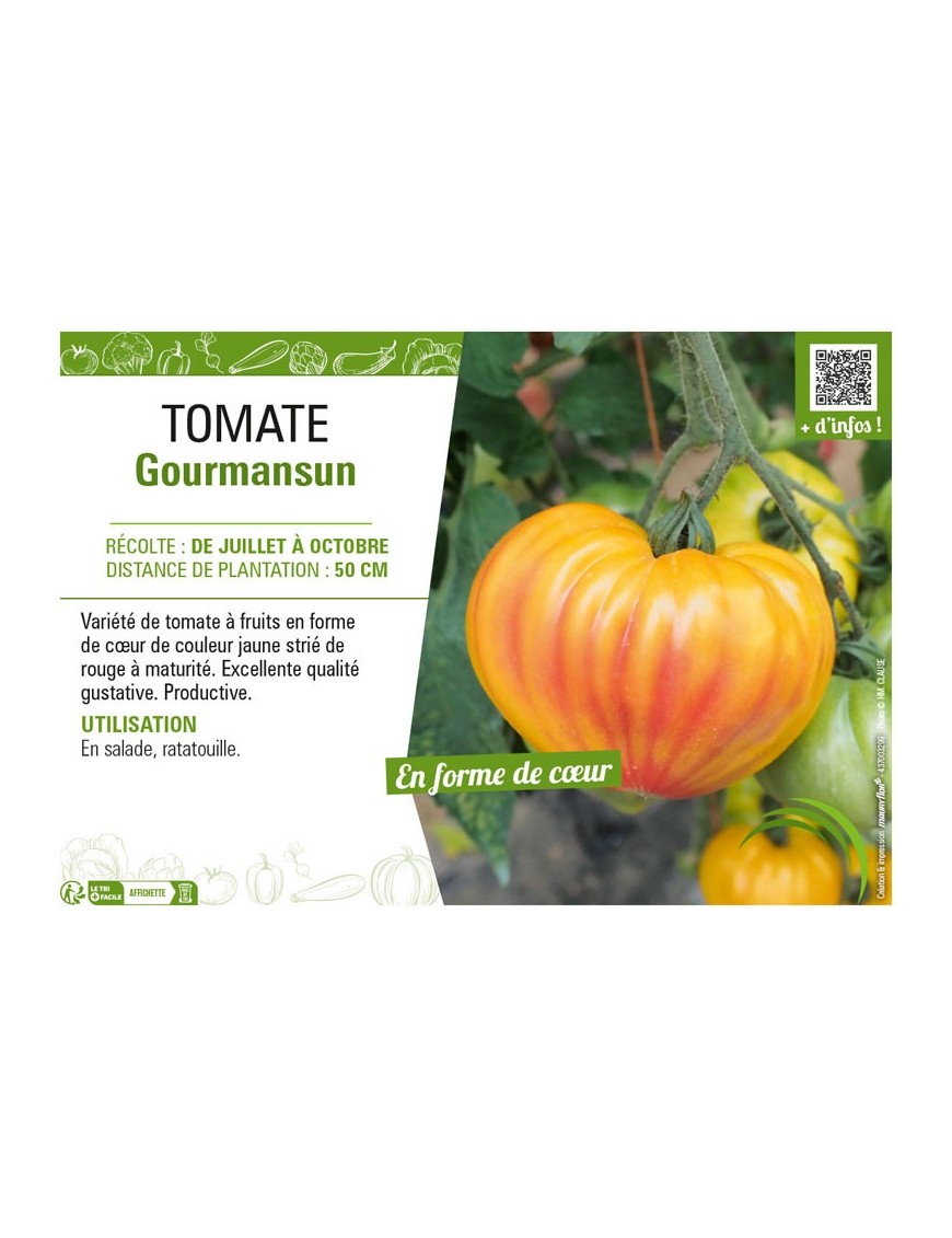 TOMATE GOURMANSUN