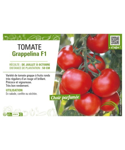 TOMATE GRAPPELINA F1