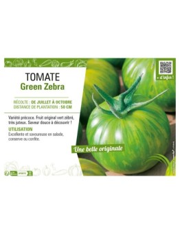 TOMATE GREEN ZEBRA