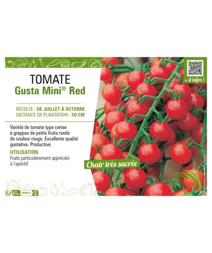 TOMATE GUSTA MINI® RED
