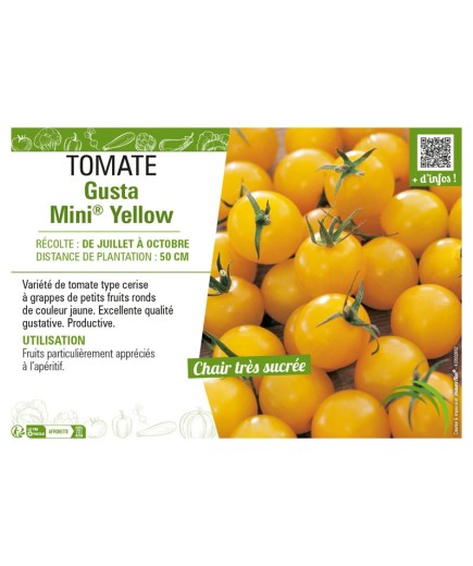 TOMATE GUSTA MINI® YELLOW