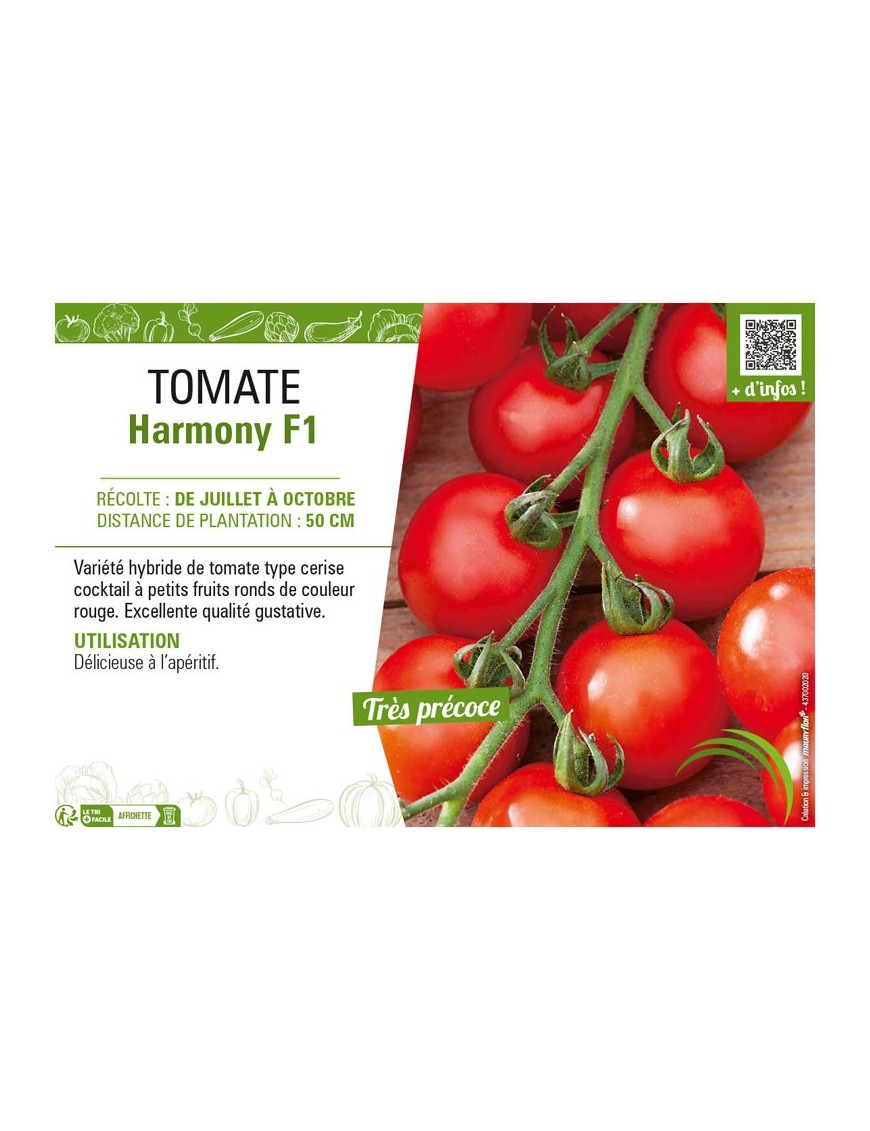 TOMATE HARMONY F1