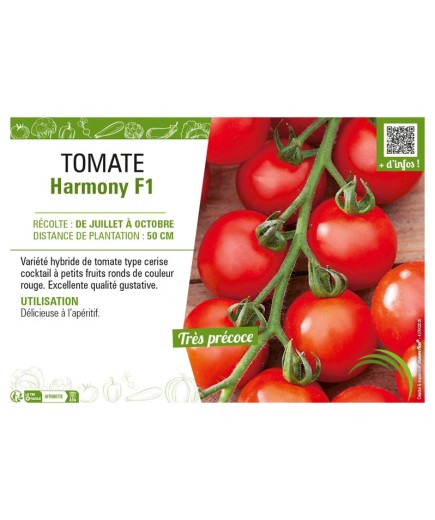 TOMATE HARMONY F1