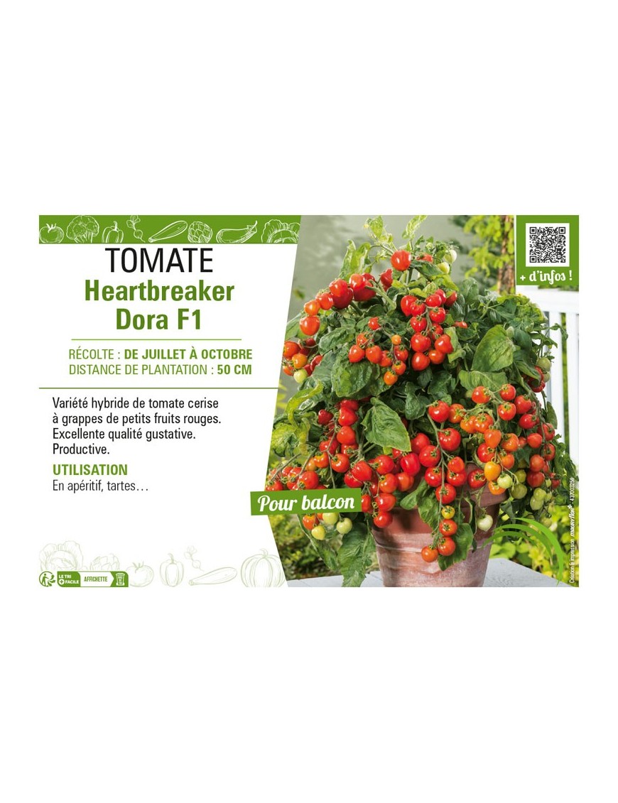 TOMATE HEARTBREAKER DORA F1
