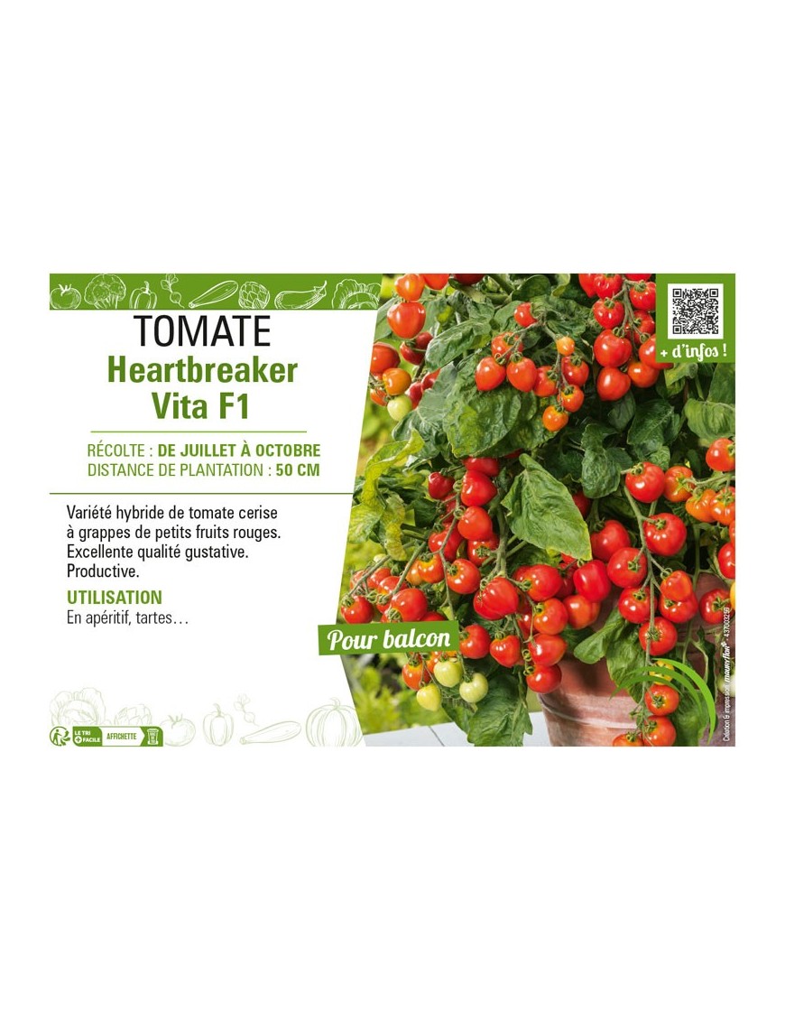 TOMATE HEARTBREAKER VITA F1