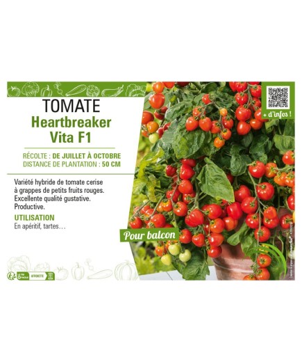 TOMATE HEARTBREAKER VITA F1