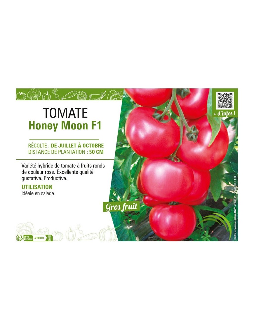 TOMATE HONEY MOON F1