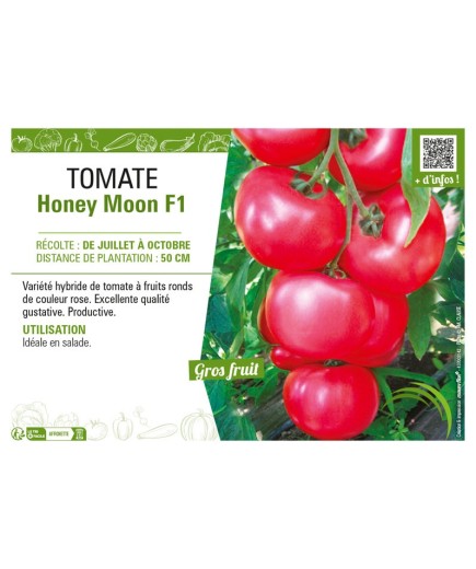 TOMATE HONEY MOON F1