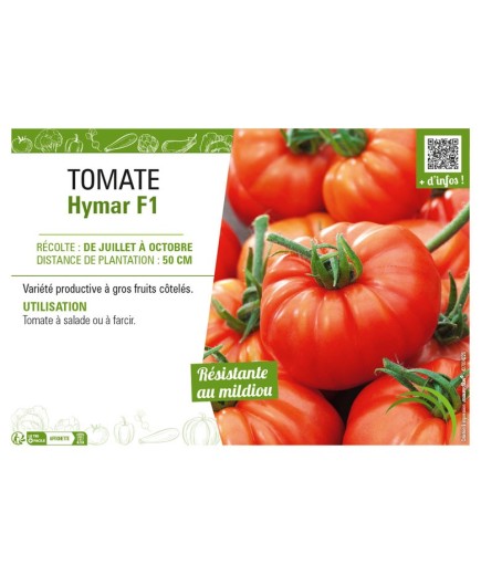 TOMATE HYMAR F1