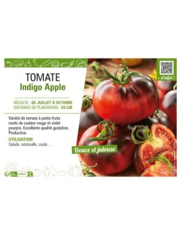 TOMATE INDIGO APPLE