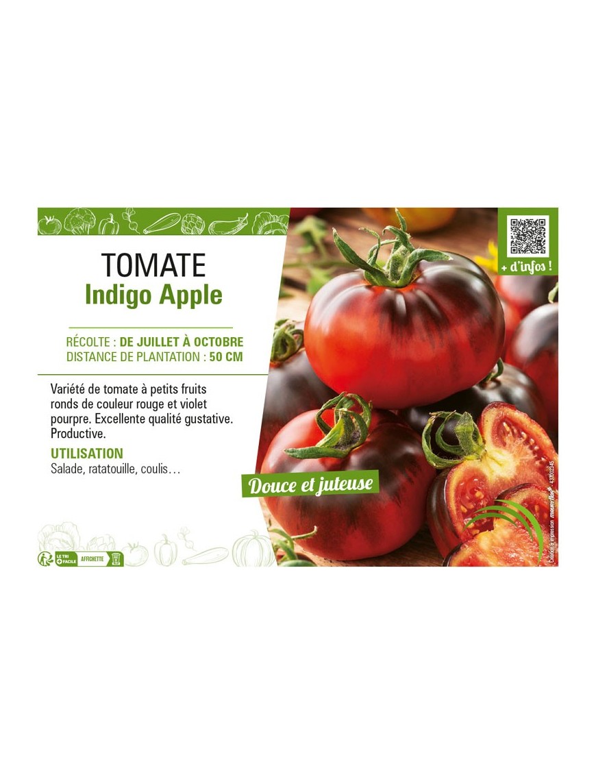 TOMATE INDIGO APPLE